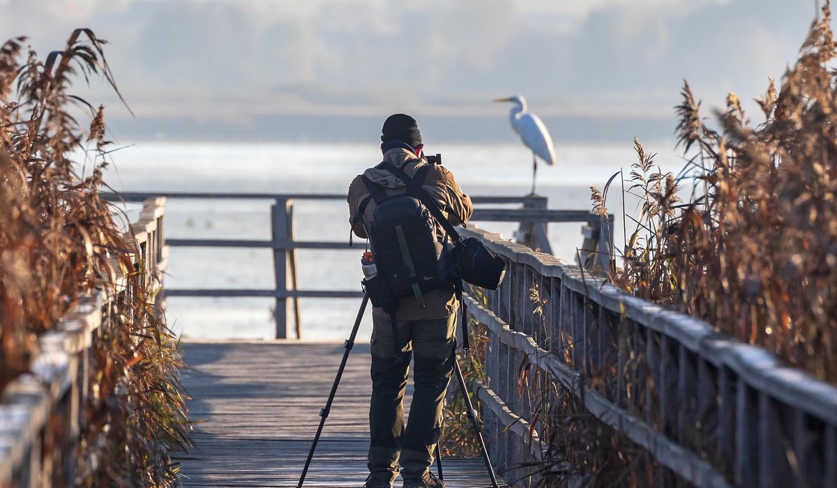 What To Pack In A Camera Bag